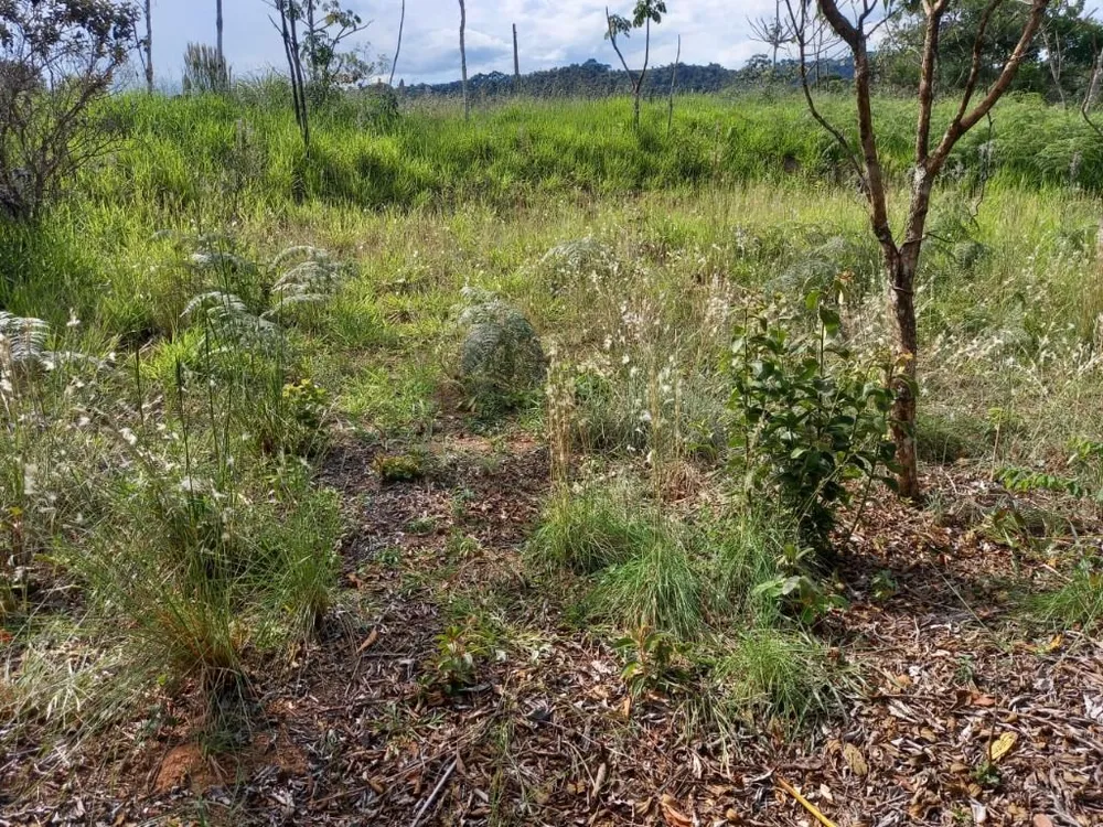 Terreno, 10000 m² - Foto 8