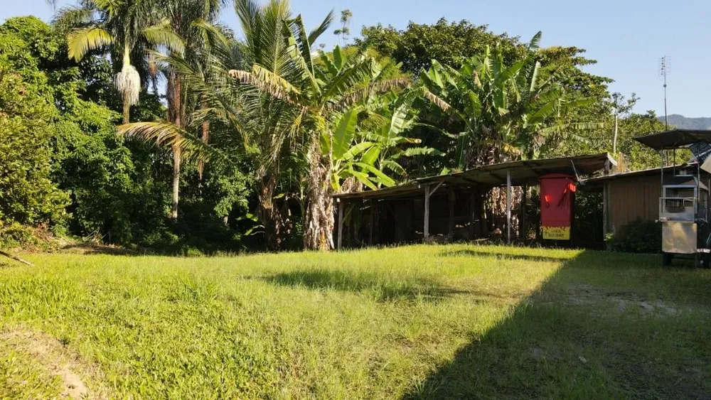 Terreno, 1 hectares - Foto 3