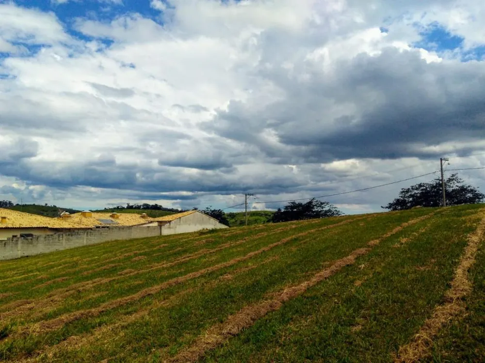 Terreno, 1345 m² - Foto 7