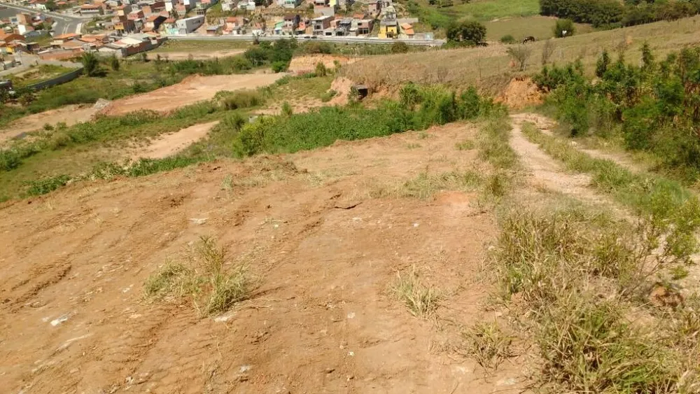 Terreno, 8 hectares - Foto 3