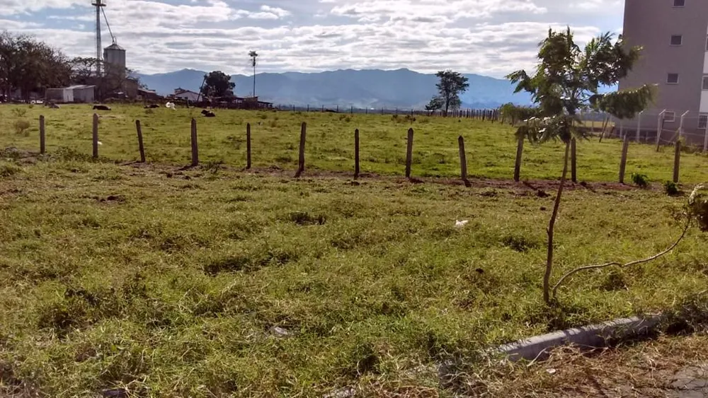 Terreno, 4 hectares - Foto 1