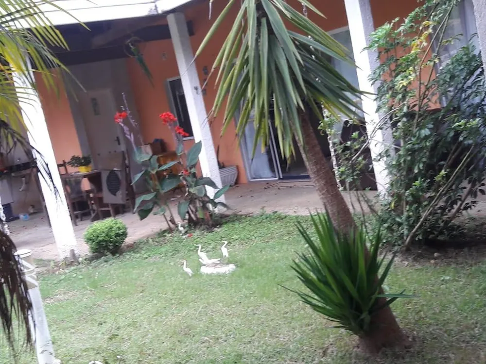 Casa, 3 quartos, 310 m² - Foto 2