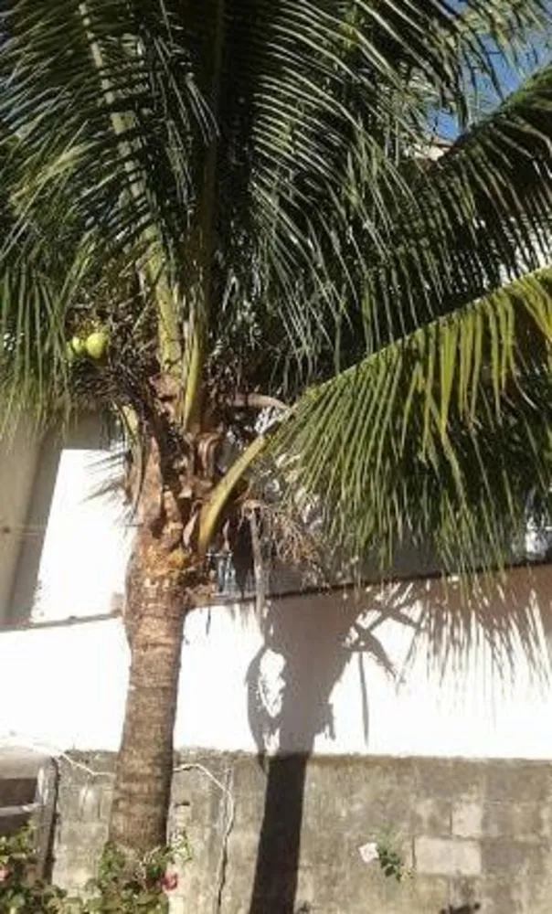 Casa, 2 quartos, 100 m² - Foto 2