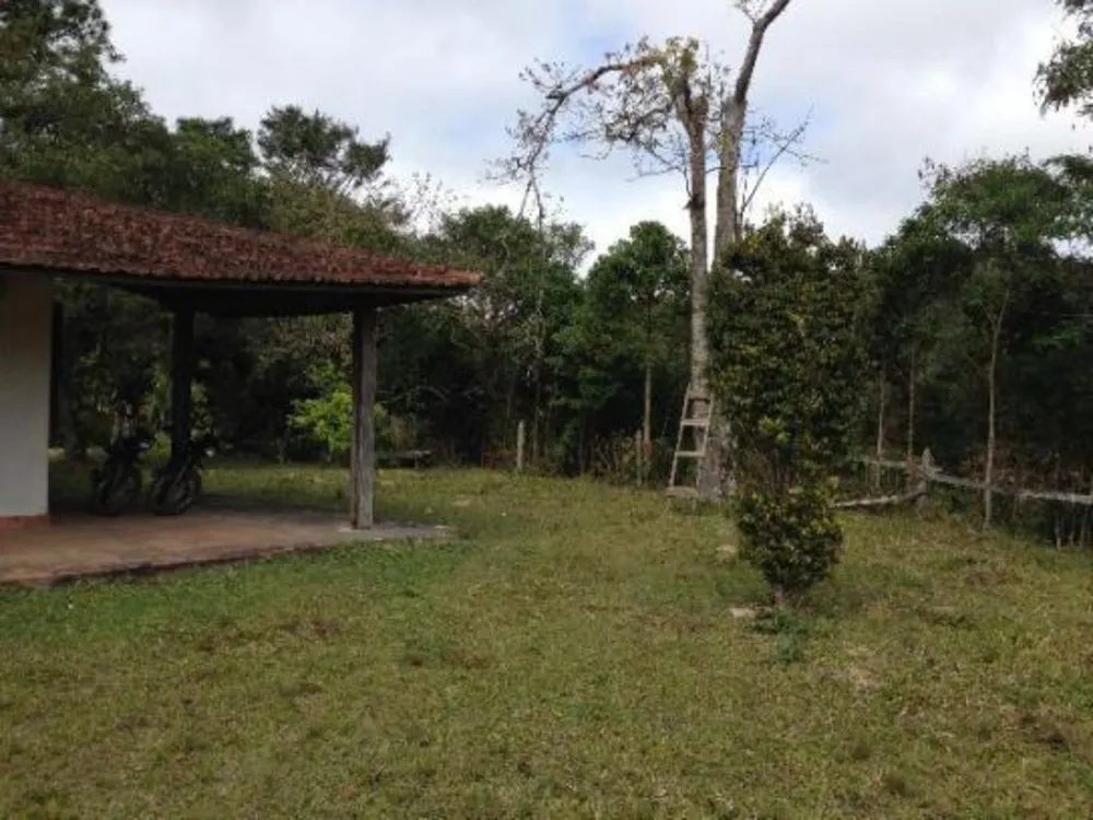Fazenda, 109 hectares - Foto 4