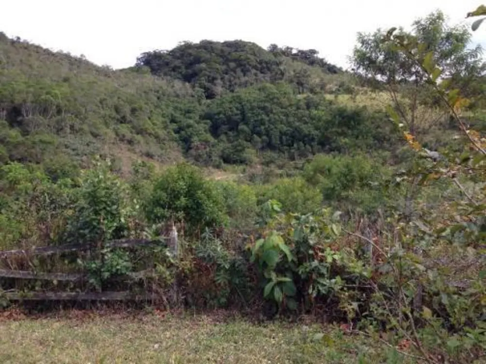 Fazenda, 109 hectares - Foto 6