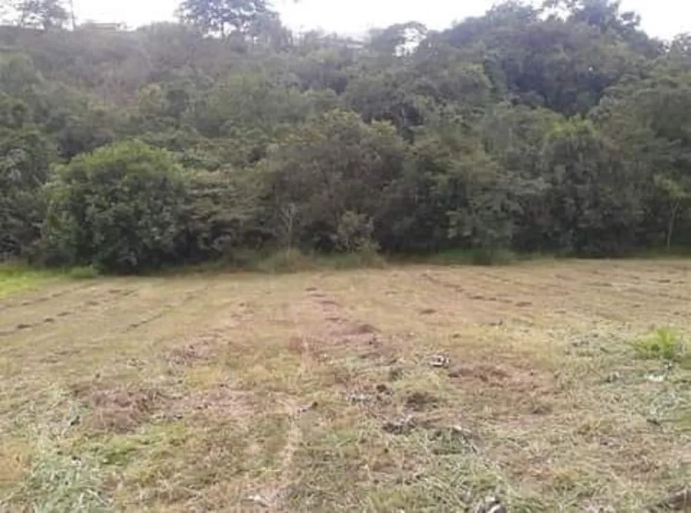 Terreno, 1289 m² - Foto 3
