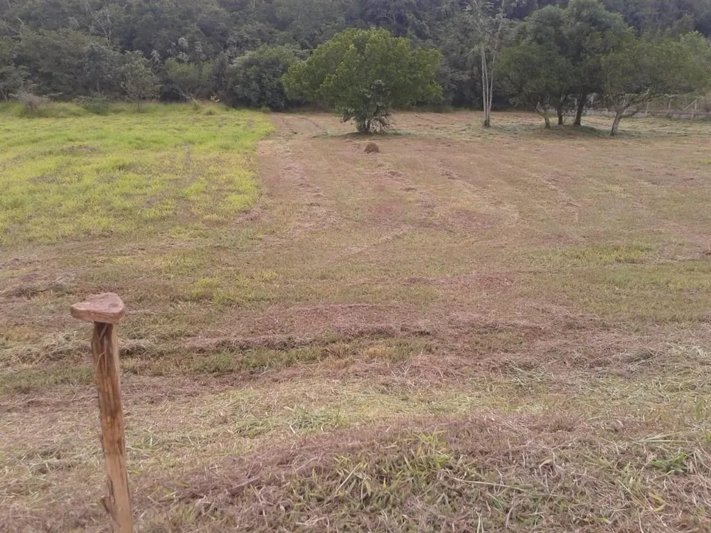 Terreno, 1289 m² - Foto 2