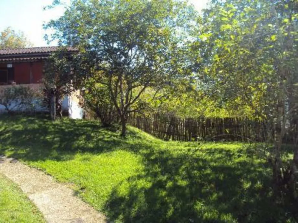 Sítio, 4 quartos, 5 hectares - Foto 4
