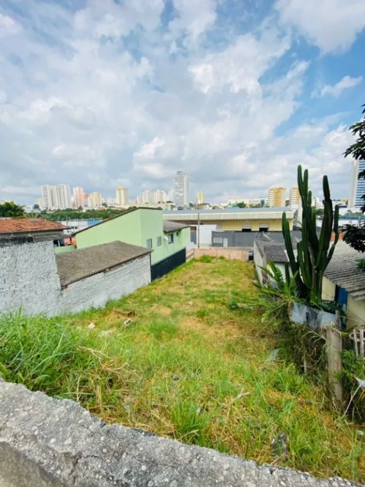 Terreno, 300 m² - Foto 3