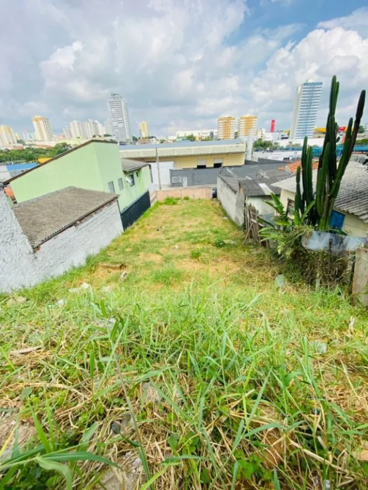 Terreno, 300 m² - Foto 2