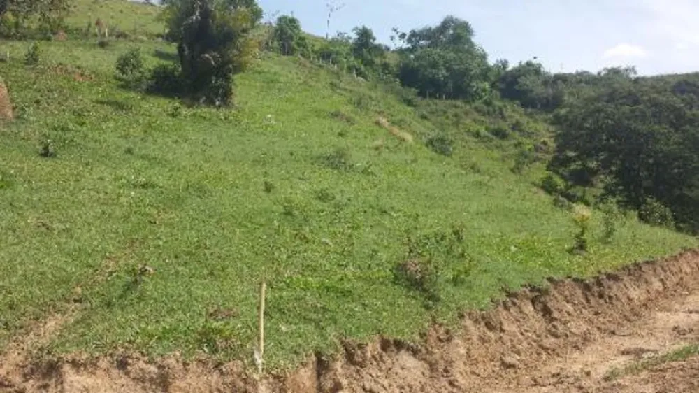 Chácara, 1 quarto, 1000 m² - Foto 1