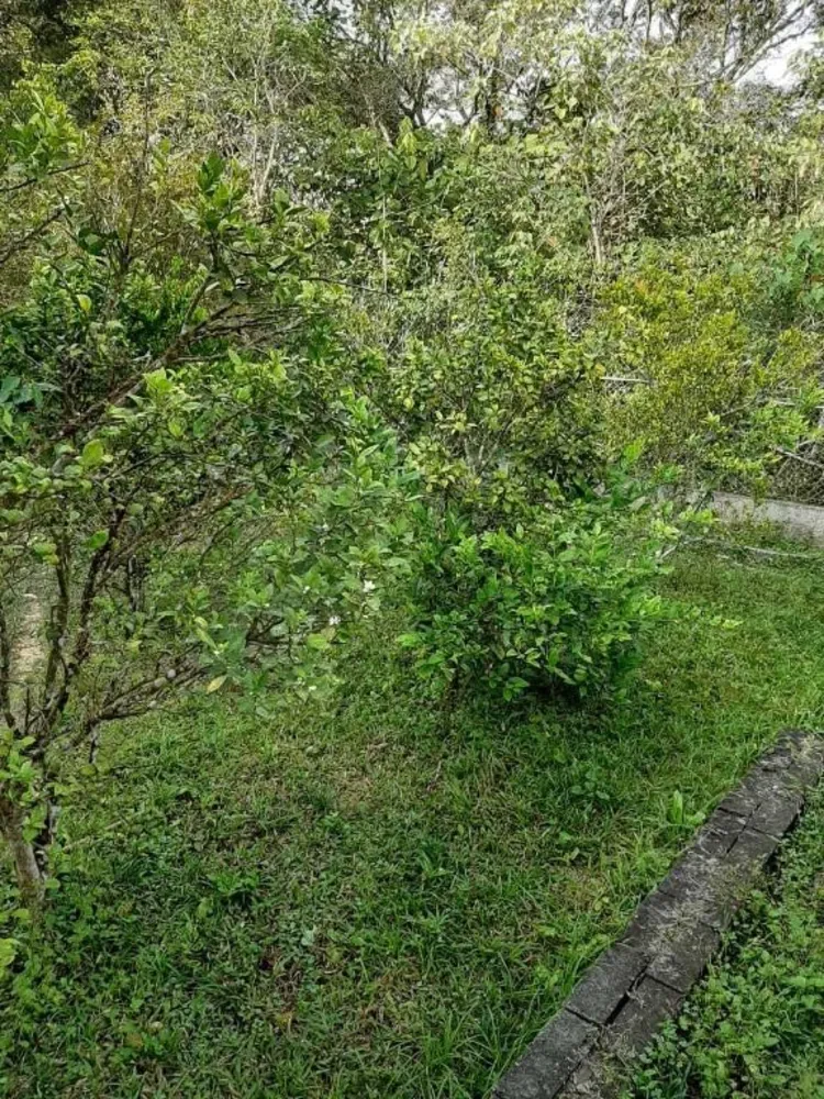 Chácara, 5 quartos, 2 hectares - Foto 8