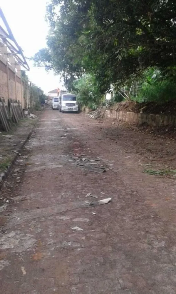 Terreno, 3 hectares - Foto 8