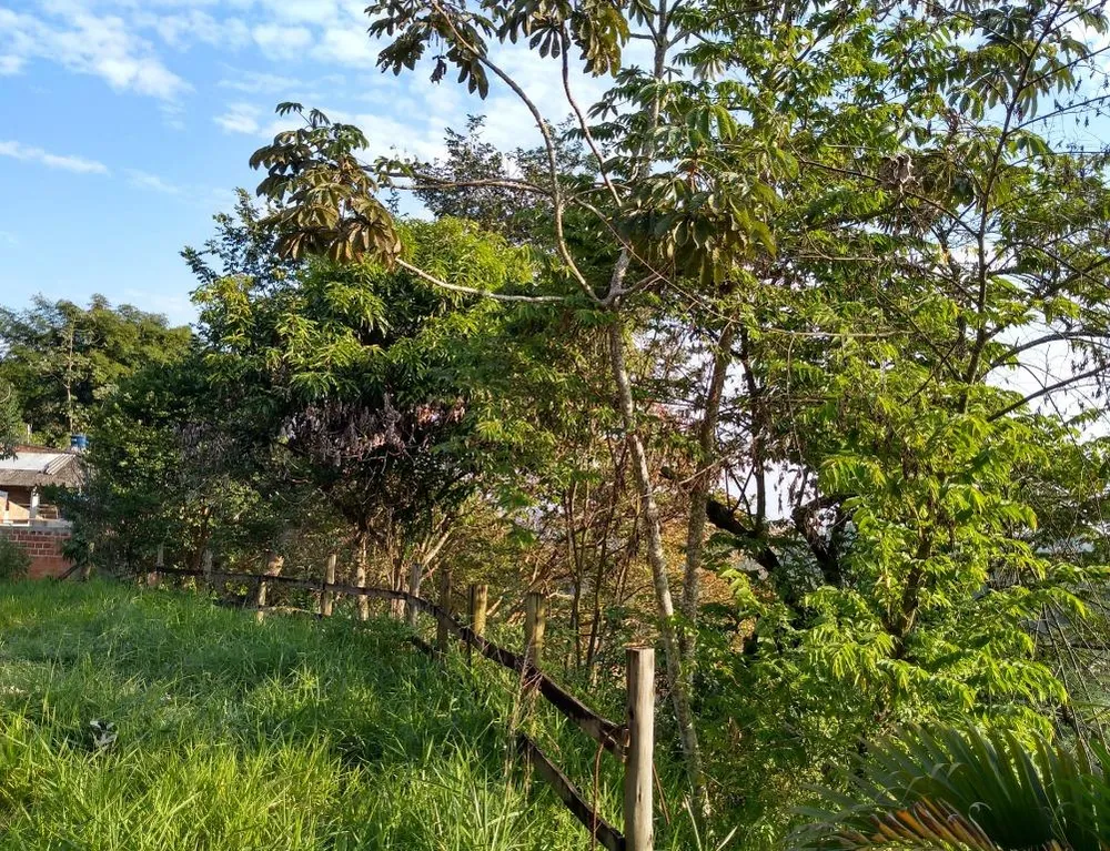 Chácara, 6 quartos, 2300 m² - Foto 3