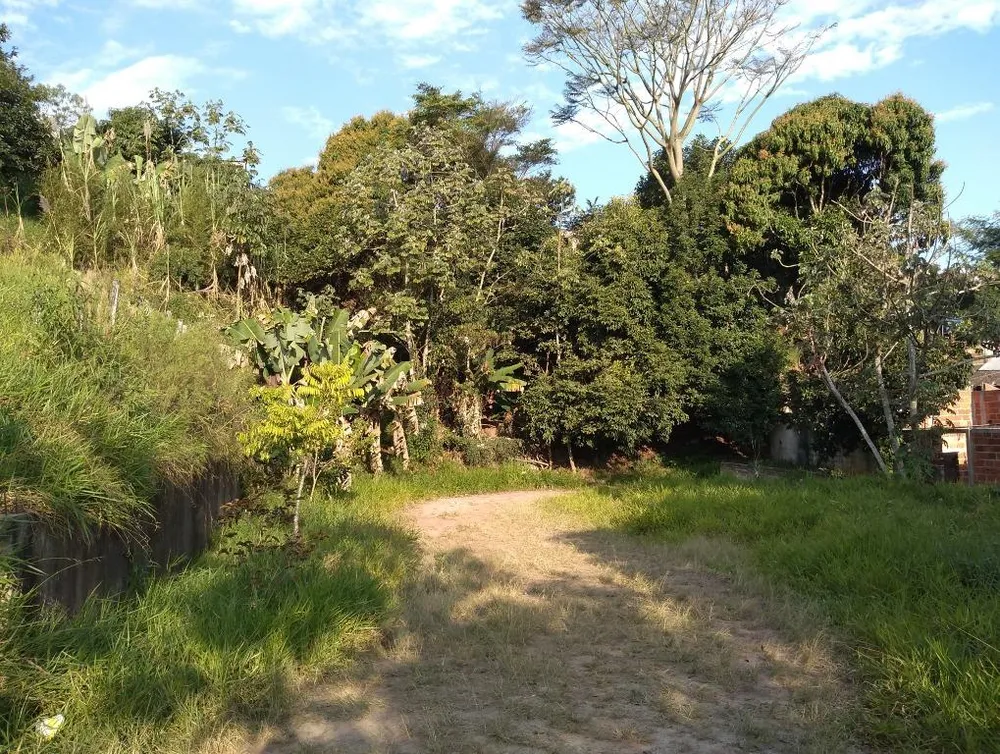 Chácara, 6 quartos, 2300 m² - Foto 6