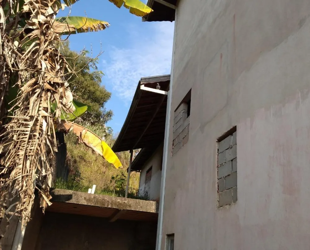Chácara, 6 quartos, 2300 m² - Foto 2