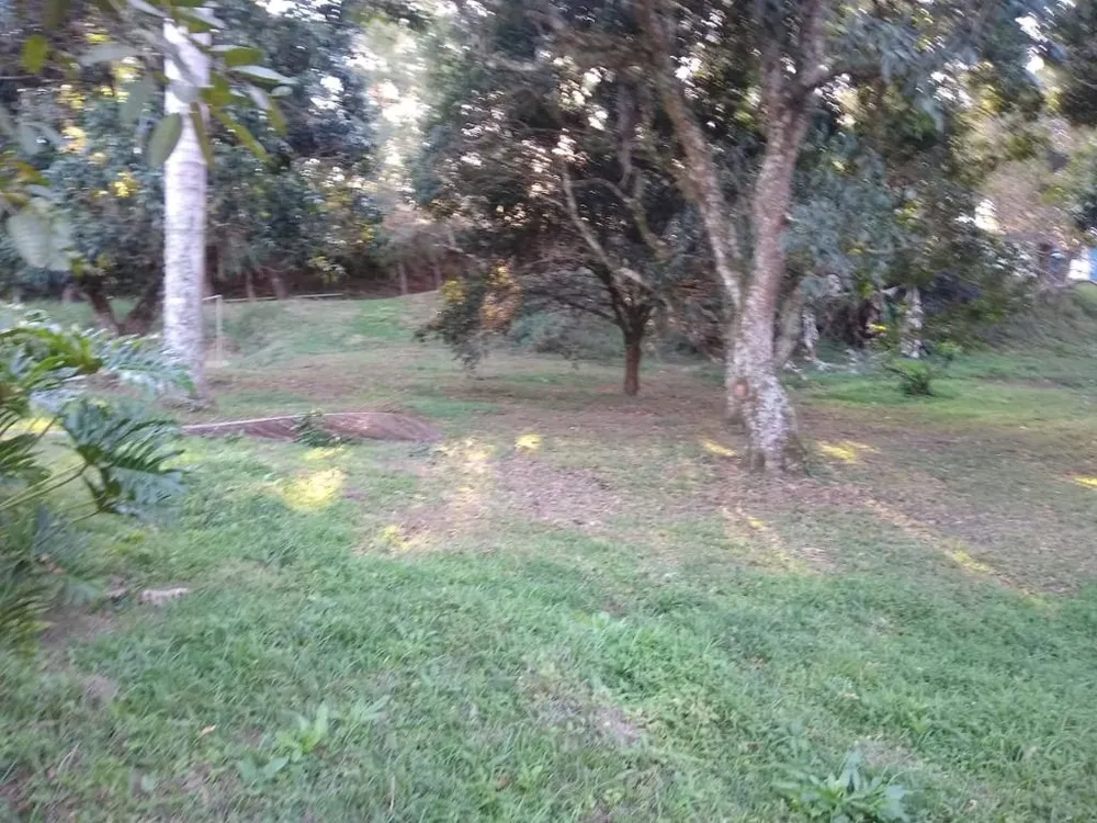 Terreno, 3750 m² - Foto 2