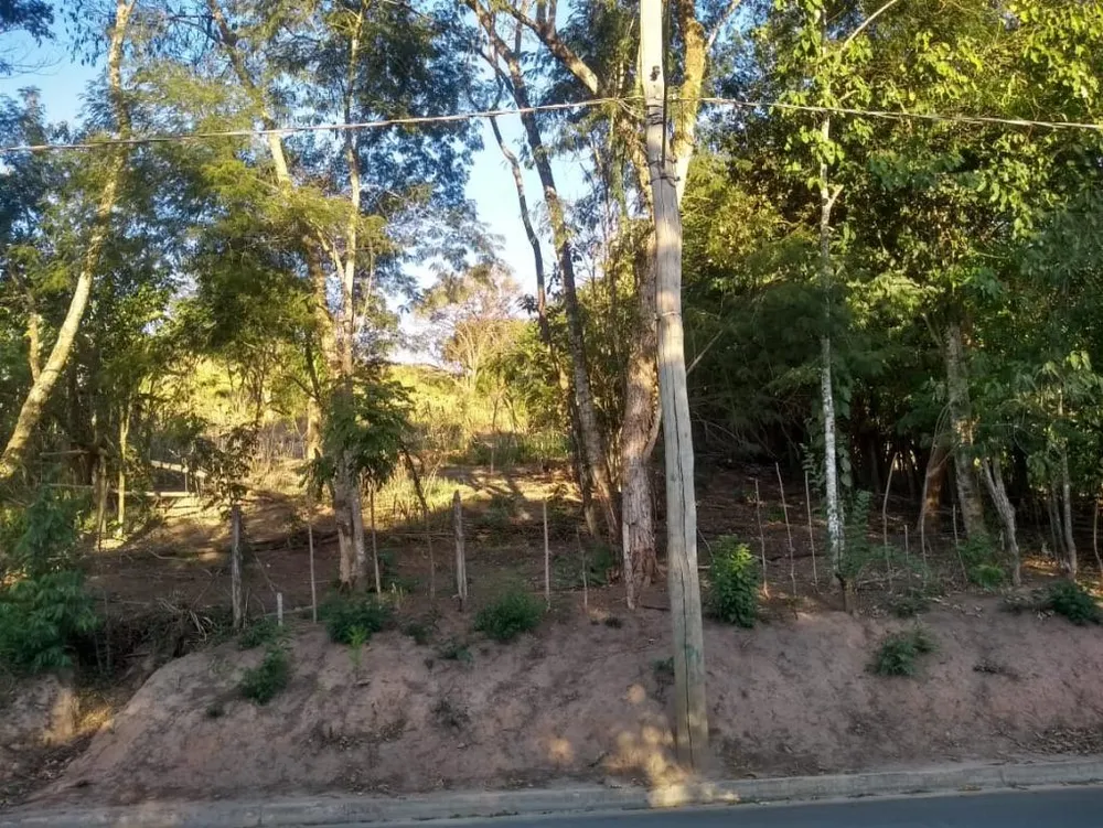 Terreno, 1000 m² - Foto 2