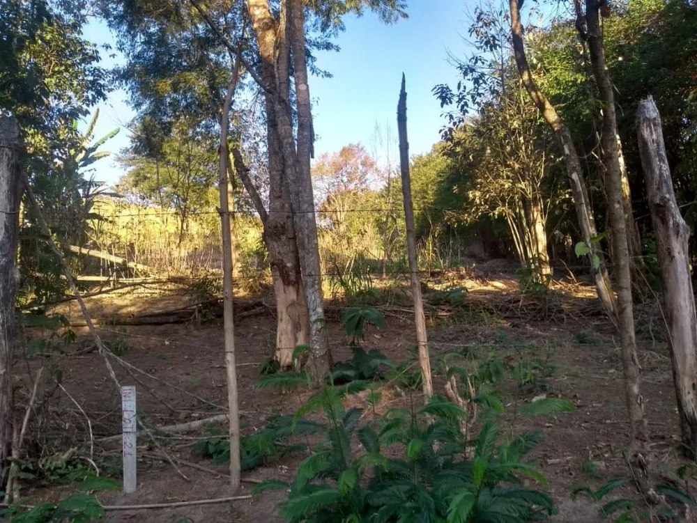 Terreno, 1000 m² - Foto 3