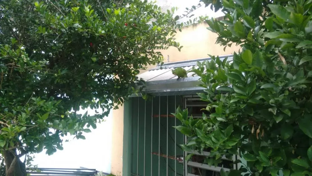 Sobrado, 3 quartos, 171 m² - Foto 3
