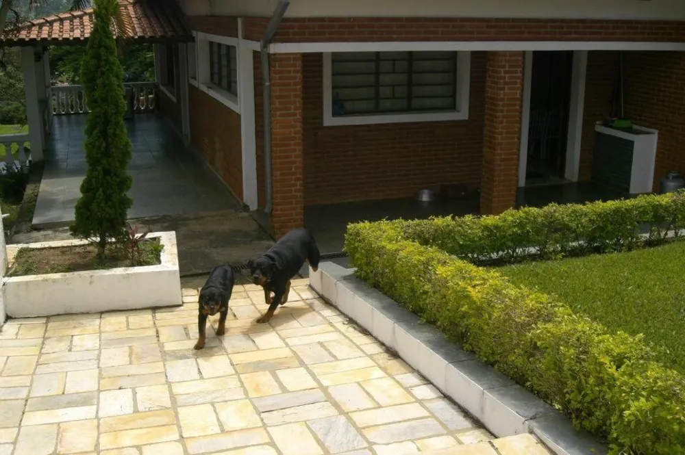 Casa, 4 quartos, 430 m² - Foto 3