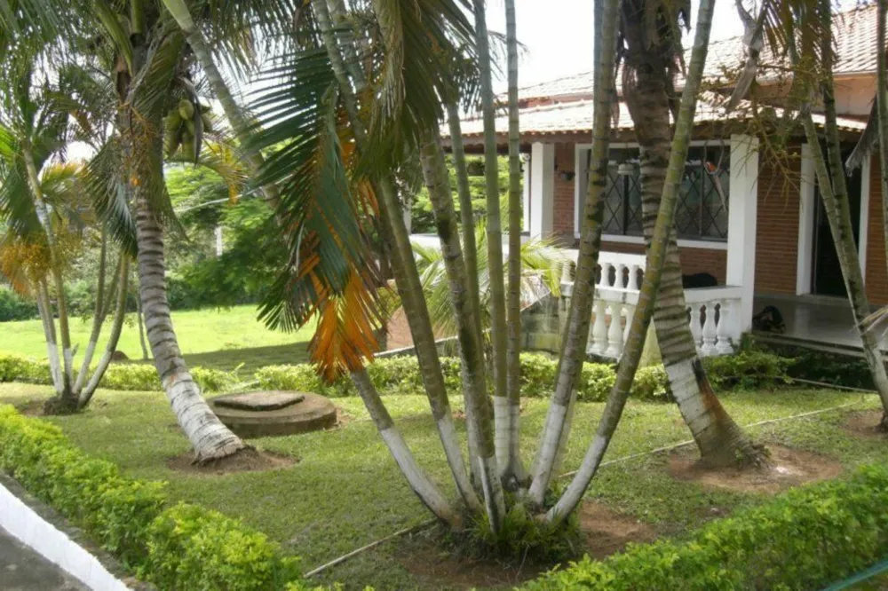 Casa, 4 quartos, 430 m² - Foto 5