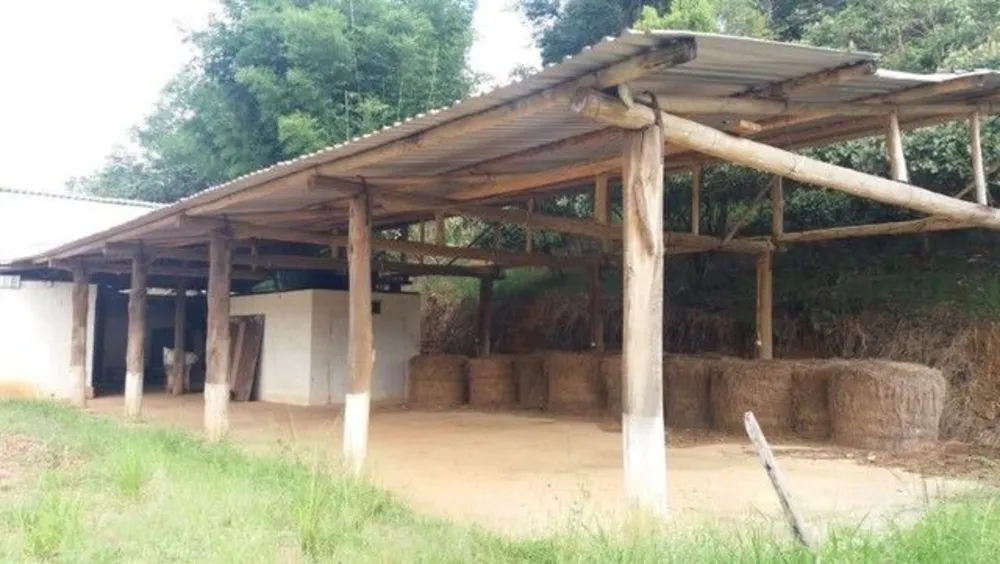 Sítio, 3 quartos, 2 hectares - Foto 7