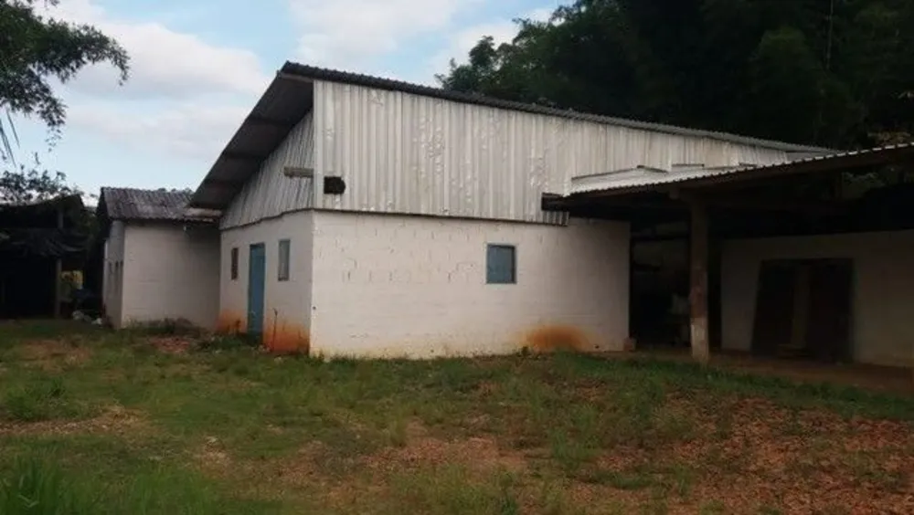 Sítio, 3 quartos, 2 hectares - Foto 8