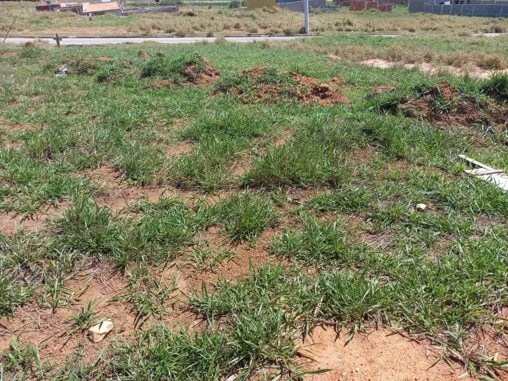 Terreno, 200 m² - Foto 4