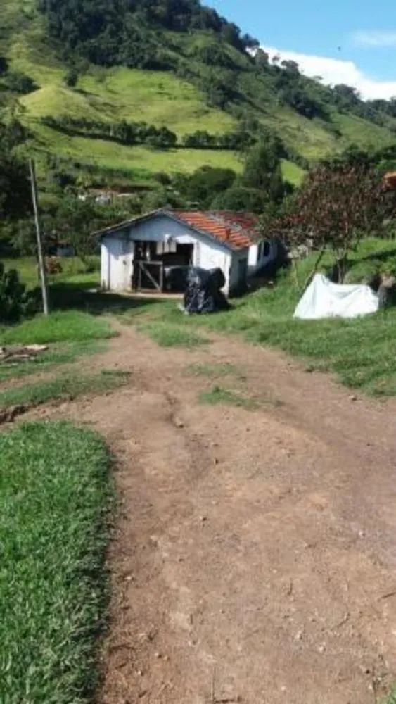 Fazenda, 48 hectares - Foto 2