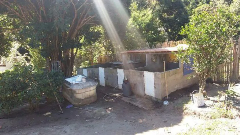 Fazenda, 48 hectares - Foto 3
