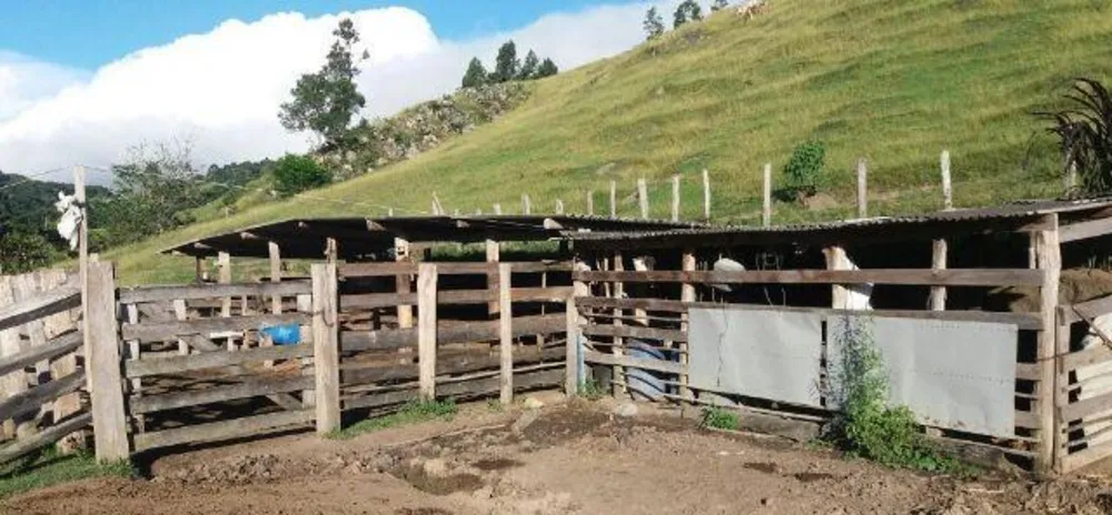 Fazenda, 48 hectares - Foto 4