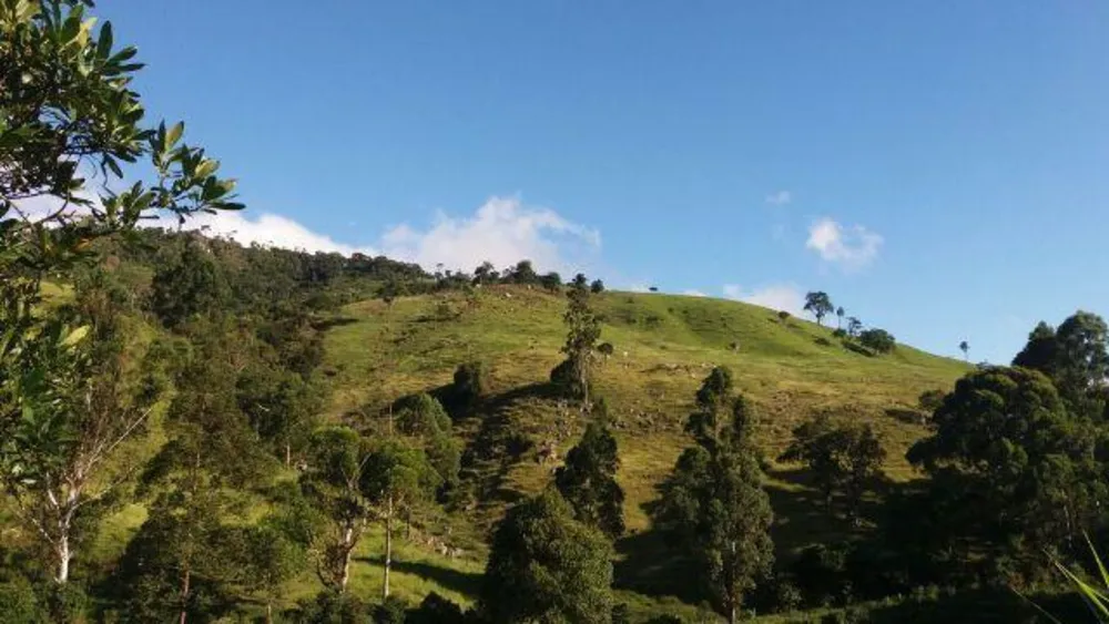 Fazenda, 48 hectares - Foto 1