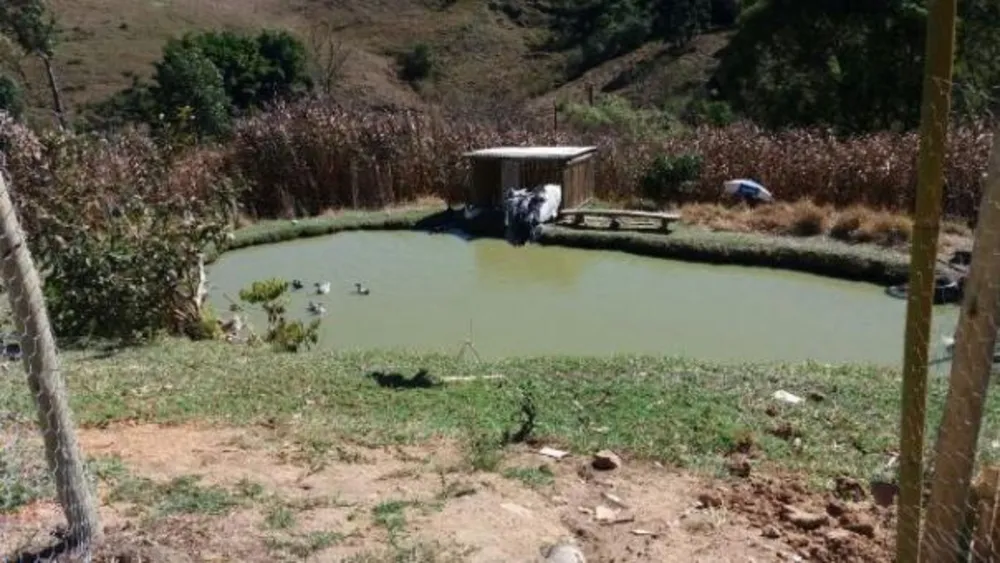Fazenda, 48 hectares - Foto 7