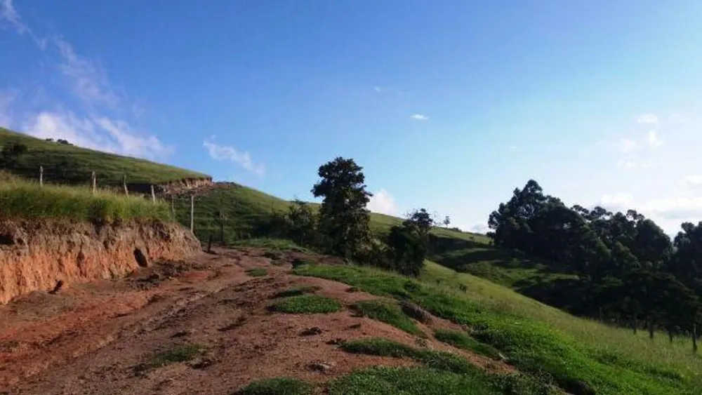 Fazenda, 48 hectares - Foto 6
