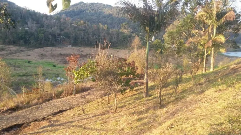Chácara, 2 quartos, 4 hectares - Foto 5