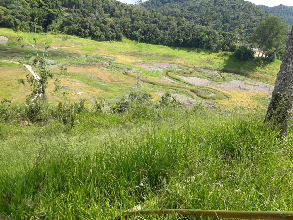 Chácara, 2 quartos, 4 hectares - Foto 8