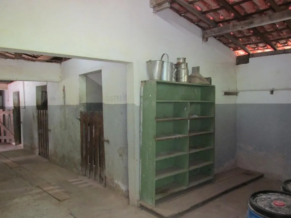 Sítio, 4 quartos, 12 hectares - Foto 4