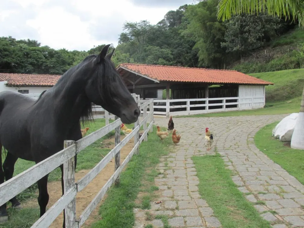 Sítio, 4 quartos, 12 hectares - Foto 2