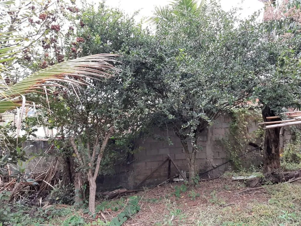 Chácara, 2 quartos, 1300 m² - Foto 4