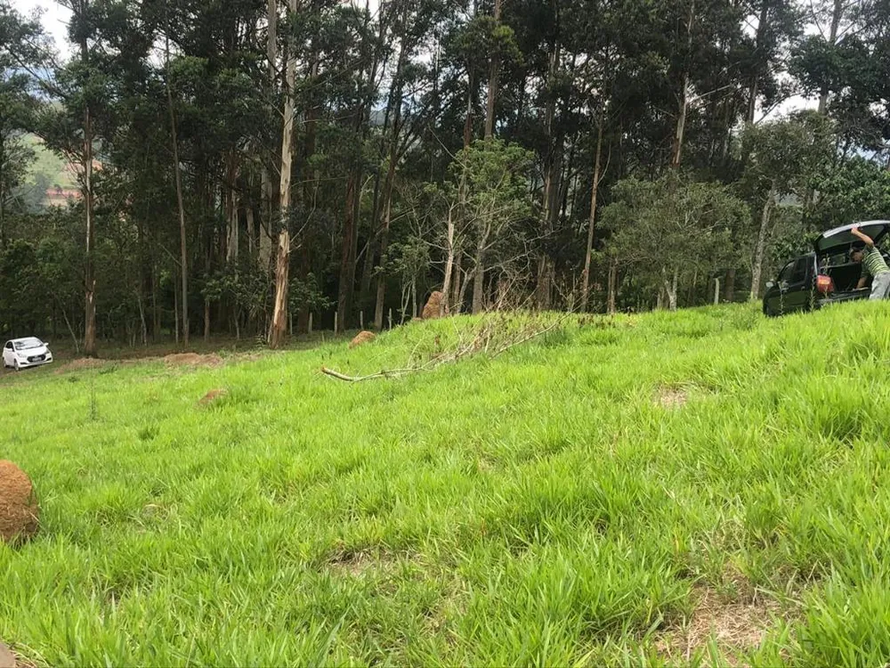 Terreno, 3600 m² - Foto 6