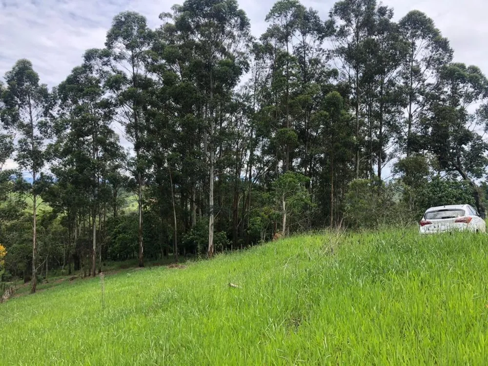 Terreno, 3600 m² - Foto 3