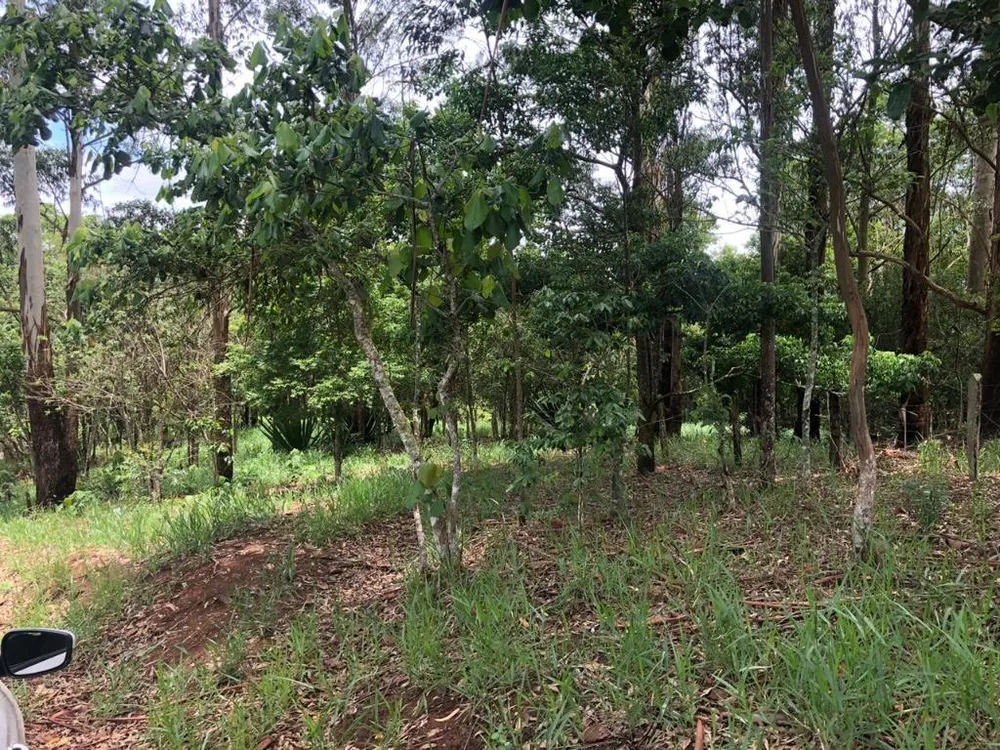 Terreno, 3600 m² - Foto 5