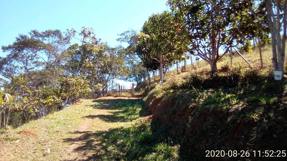 Sítio, 3 quartos, 10 hectares - Foto 4