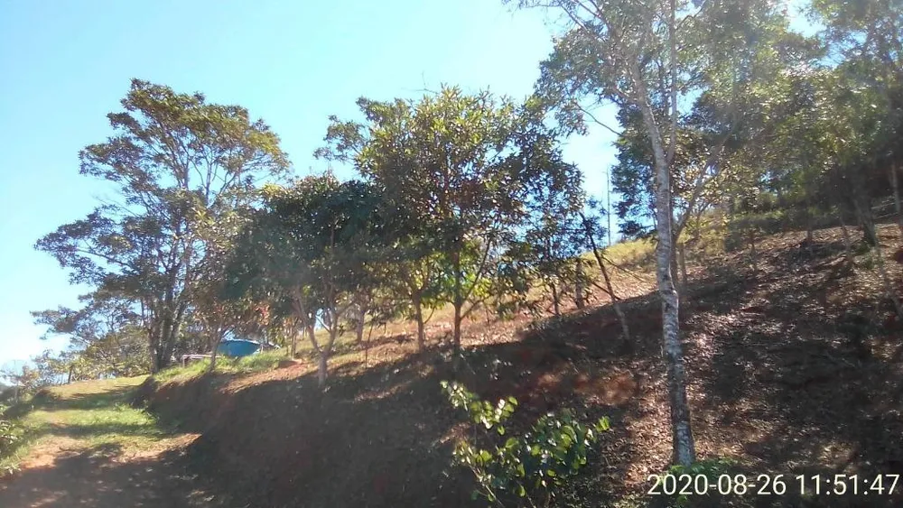 Sítio, 3 quartos, 10 hectares - Foto 3