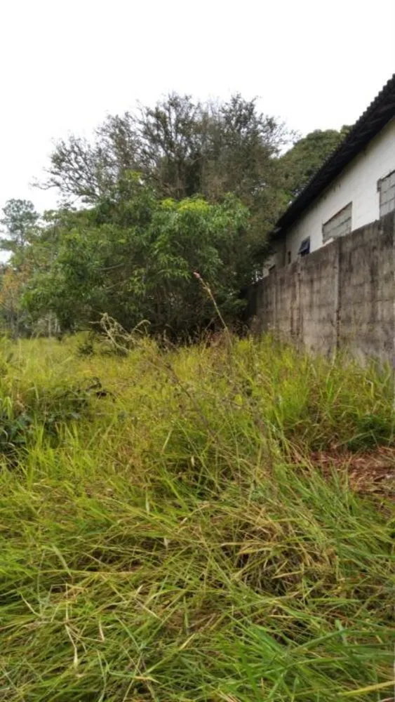 Terreno, 1000 m² - Foto 5