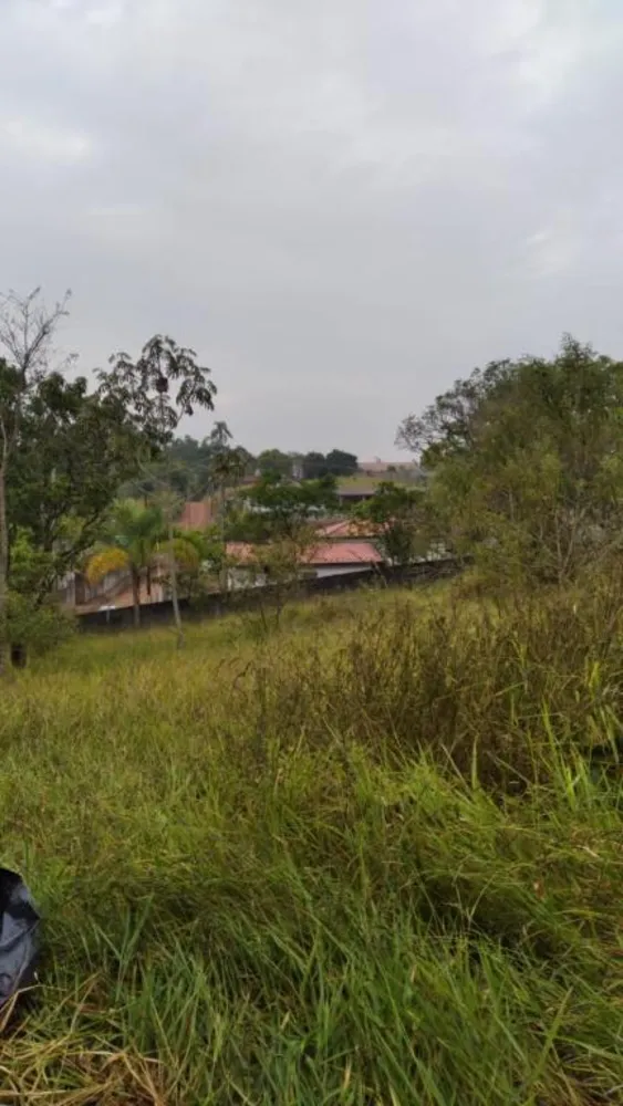 Terreno, 1000 m² - Foto 4