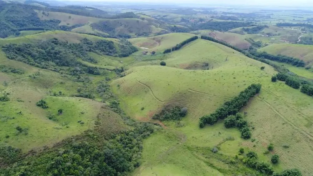 Fazenda, 198 hectares - Foto 6