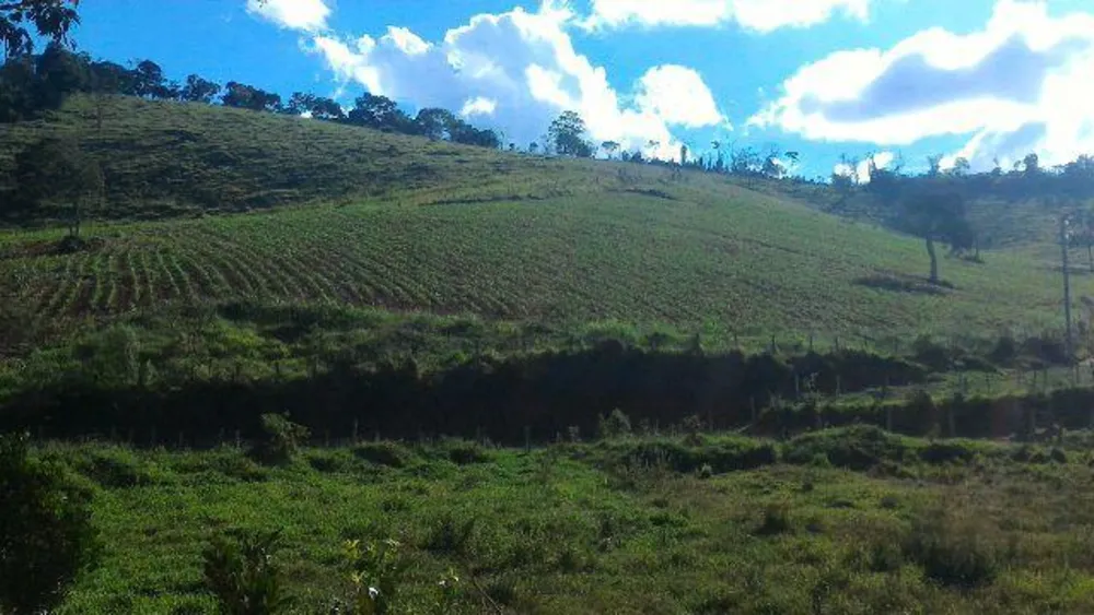 Fazenda, 41 hectares - Foto 6