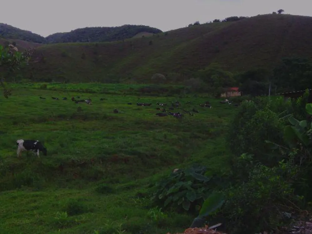 Fazenda, 41 hectares - Foto 7